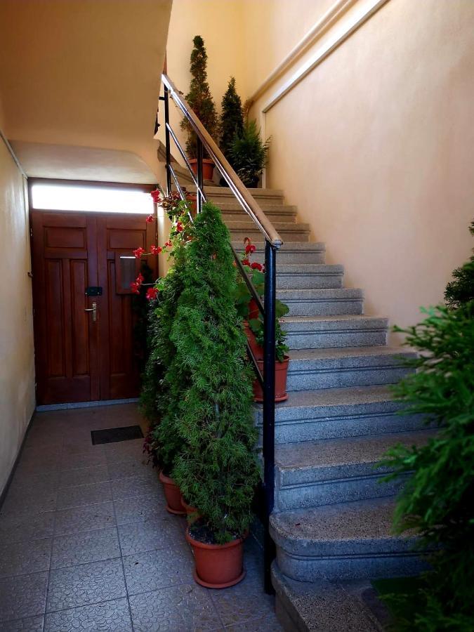 Villa Casa Ioana Brašov Exteriér fotografie