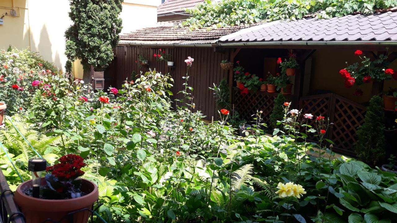 Villa Casa Ioana Brašov Exteriér fotografie