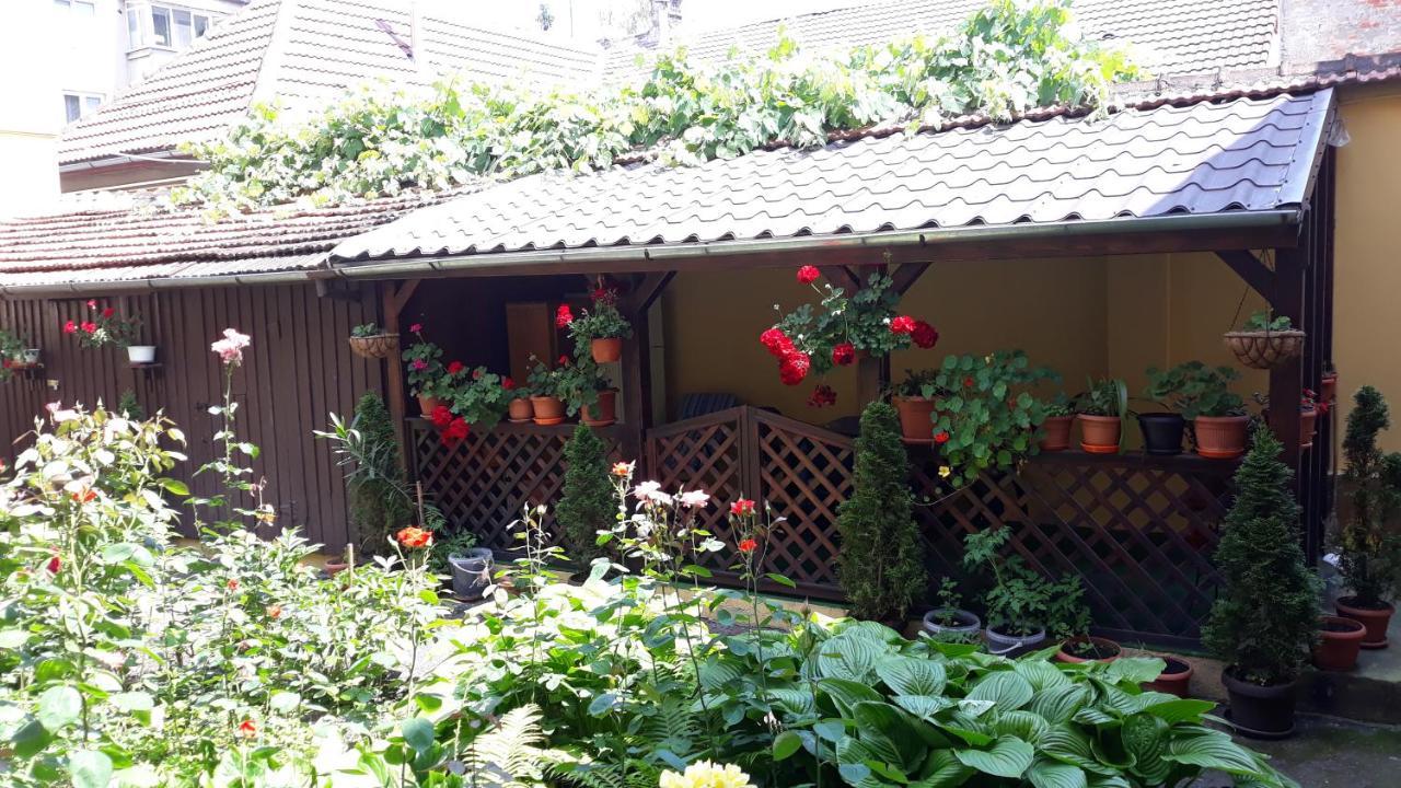 Villa Casa Ioana Brašov Exteriér fotografie