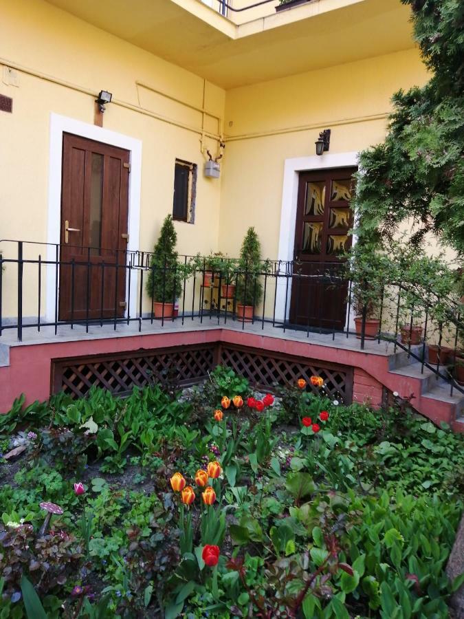 Villa Casa Ioana Brašov Exteriér fotografie